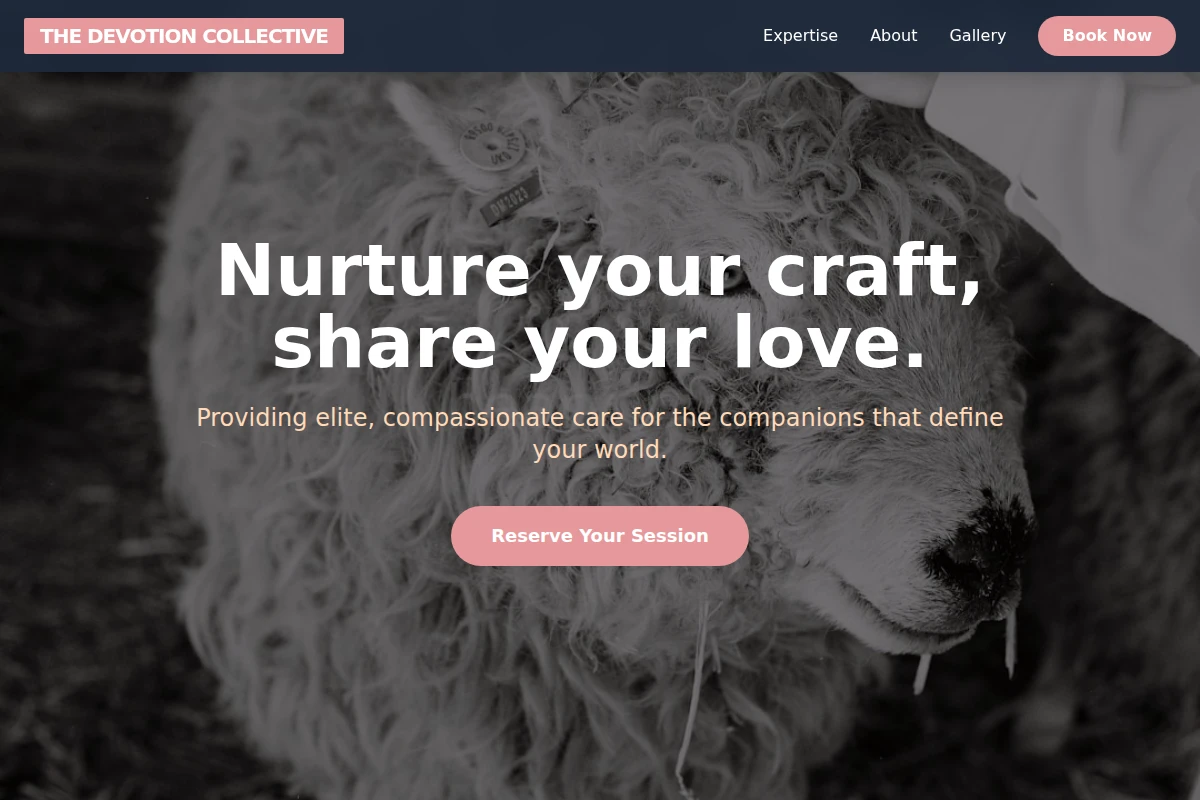 Paws Animal Care